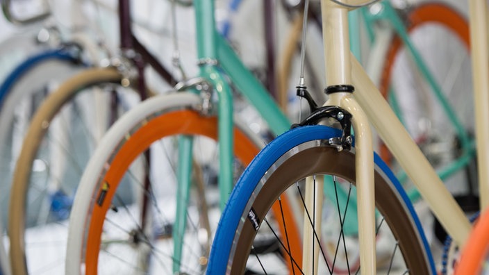 Das Beitragsbild des Dok 5 "Auf Touren? Wirtschaftsfaktor Fahrrad" zeigt Fahrräder mit bunten Reifen, die nebeneinander aufgereiht in einem Fahrradgeschäft stehen.