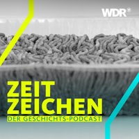 Symbolbild zum Thema Lebensmittelverschwendung: Verdorbenes Hackfleisch in Plastik Verpackung. 