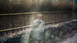 Das Beitragsbild des WDR3 Kulturfeature "Jōhatsu in Japan – Wenn Menschen verdunsten" zeigt eine verschwommene Person vor Bambuspflanzen