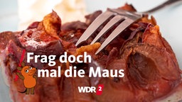 Kuchengabel in einem Stück Pflaumenkuchen