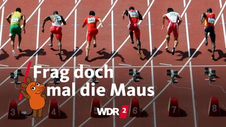 Läufer beim Start zum 100m-Lauf