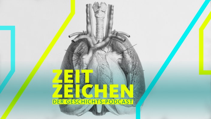 Heart and lungs. Historical anatomical artwork of the human heart and lungs, seen from the front.