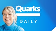 Quarks Daily Schriftzug