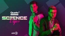 Quarks Science Cops