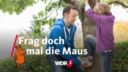 Räuberleiter