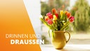 WDR 4 Drinnen und Draußen
