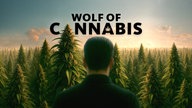 Die Grafik des Podcast "Wolf of Cannabis" zeigt eine männliche Figur von hinten vor einer Hanfplantage