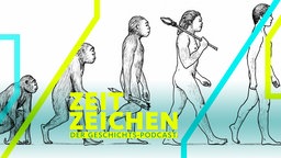 Symbolbild Evolution