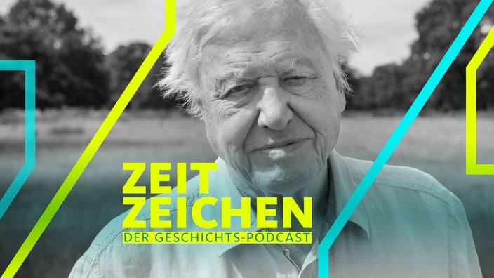 Porträt des britischen Naturforschers Sir David Attenborough