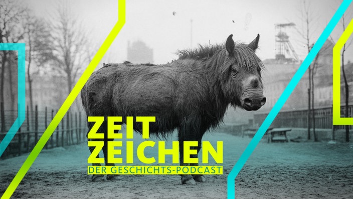 Das letzte Einhorn