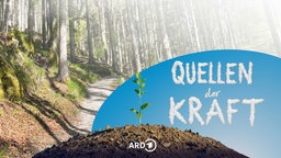 Weg durch im Wald über der Ammerquelle, darüber das Logo der Sendereihe: Der Schriftzug Quellen der Kraft in Form von Wolken vor blauem Himmel, davor ein Hügel aus dem eine Pflanze spriesst.