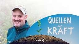 Portraitaufnahme von Förster Frieder Wielandt im Hochschwarzwald vor Bäumen, darüber das Logo der Sendereihe: Der Schriftzug Quellen der Kraft in Form von Wolken vor blauem Himmel, davor ein Hügel aus dem eine Pflanze spriesst.