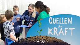 Umweltpädagogin Tina Dickmann mit einer Gruppe Kinder auf einer Waldlichtung bei der Insektenbestimmung, darüber das Logo der Sendereihe: Der Schriftzug Quellen der Kraft in Form von Wolken vor blauem Himmel, davor ein Hügel aus dem eine Pflanze spriesst.