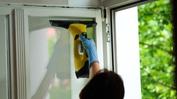 Ein Fenster wird mit einem Fenstersauger gereinigt.