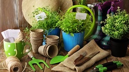 Gartenwerkzeuge