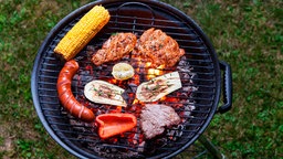 Übersicht auf einen Grill, der auf einer Wiese steht. 