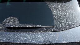Saharastaub ist auf einer Heckscheibe eines Autos zu sehen.