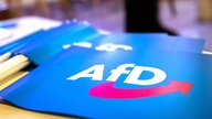 Fähnchen mit dem Logo der AfD
