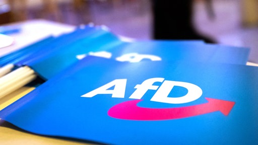 Fähnchen mit dem Logo der AfD