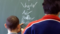 Ein Junge schreibt Tiere an die Tafel