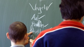 Ein Junge schreibt Tiere an die Tafel