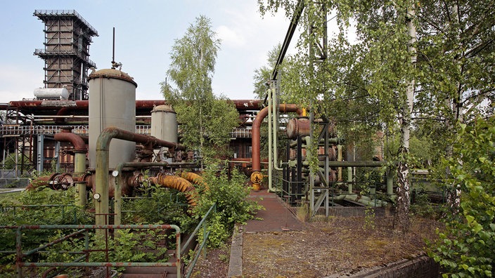Lost Places: Ammoniakfabrik