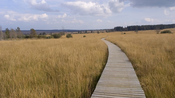 Naturschönheit von oben: Das hohe Venn