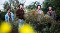Dawn Brothers