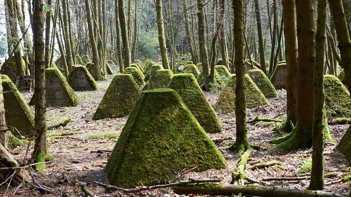 Die Panzersperren beim Westwall sind mit grünem Moos überwachsen
