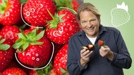 Das Bild zeigt Björn Freitag mit zwei Erdbeeren in der Hand. Im Hintergrund sind Erdbeeren zusehen.