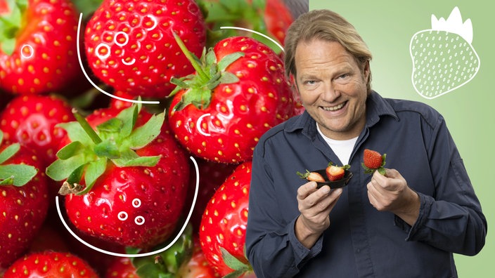 Das Bild zeigt Björn Freitag mit zwei Erdbeeren in der Hand. Im Hintergrund sind Erdbeeren zusehen.