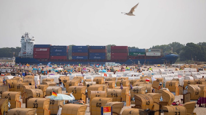 Ein Strand voller Strandkörbe. Im Hintergrund ist ein Containerschiff zu sehen. Am Himmel fliegt eine Möwe.