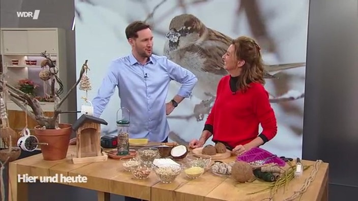 Vogelhäuschen aus Kokosnüssen