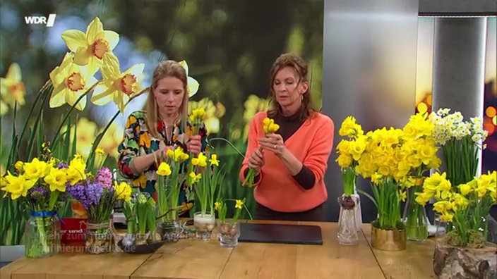 Uta Grünwald bindet einen Blumenstrauß aus Narzissen, daneben steht Moderatorin Miriam Lange im Hier und heute Studio