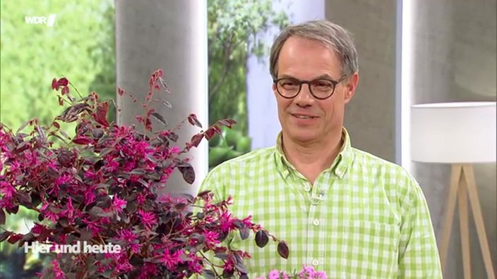 Gartenexperte Markus Phlippen