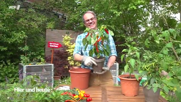Chili und Schnecken