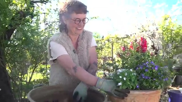 Abbildung von Anja Klein