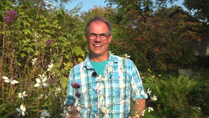 Garten unterwegs: Gräsergarten Gröne