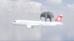 Das Bild zeigt ein beispielhaftes Flugzeug und ein Elefant zum Ausgleich.