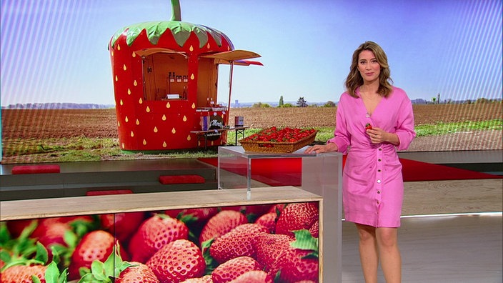 Moderatorin Catherine Vogel im Markt Studio