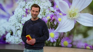 Moderator Daniel Aßmann