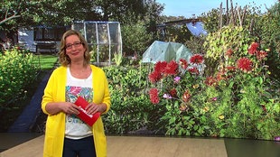 Moderatorin Yvonne Willicks