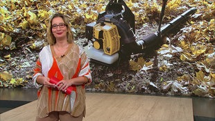 Yvonne Willicks und im Hintergrund ein Bild von einem Laubbläser