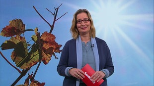 Moderator:in im Servicezeit Studio