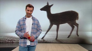 Moderator Daniel Aßmann im Servicezeit Studio