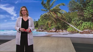 Yvonne Willicks
