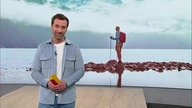 Daniel Aßmann und im Hintergrund ein Bild von einem Backpacker