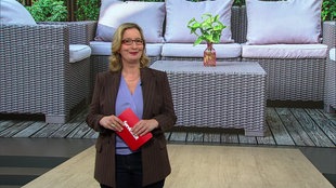 Moderatorin Yvonne Willicks im Servicezeit Studio