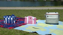 Das Bild zeigt drei Kühltaschen.