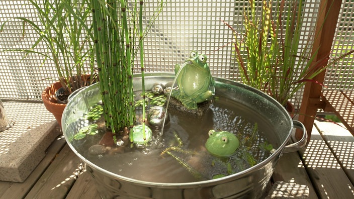 Das Bild zeigt den Mini-Teich mit Frosch Brunnen.